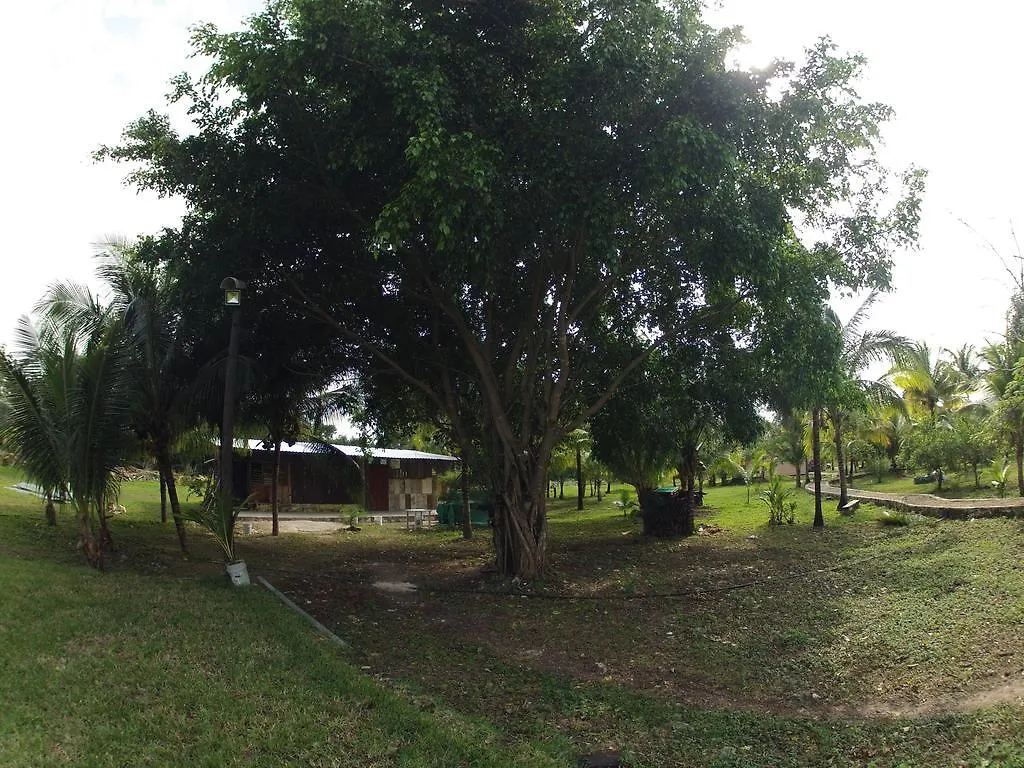 Rancho Alvarez & Hostal Cozumel Hostel