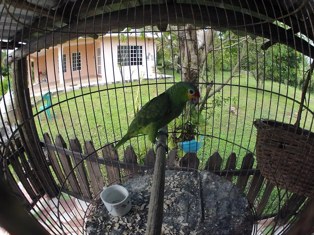 Hostel Rancho Alvarez & Hostal Cozumel